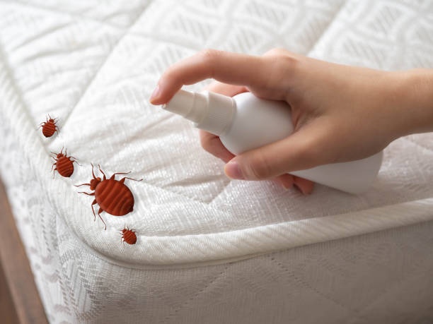 Best Emergency Pest Control  in Kean University, NJ